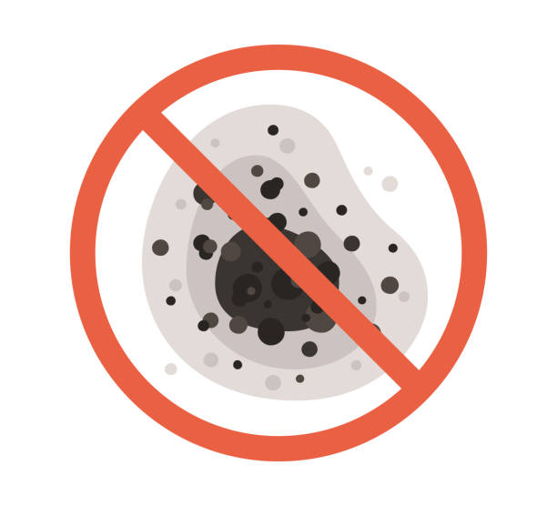 Best Commercial Mold Inspection  in Veneta, OR