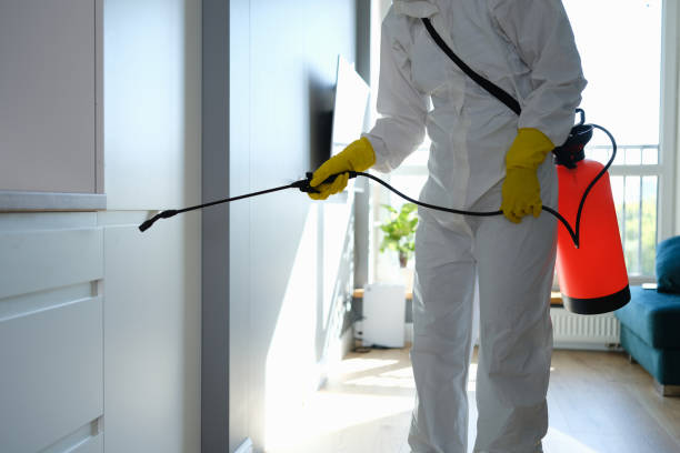 Best Biohazard Mold Removal  in Veneta, OR
