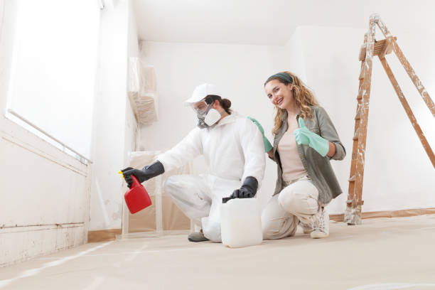Best Mold Remediation for Vacation Homes  in Veneta, OR