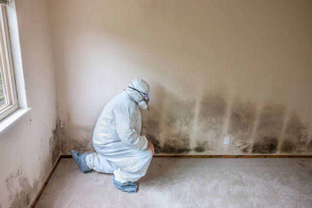 Mold Remediation for Vacation Homes in Veneta, OR